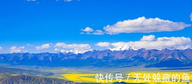 普罗旺斯|中国三大赏花胜地，花海比法国普罗旺斯还要壮观，夏天来此避暑！