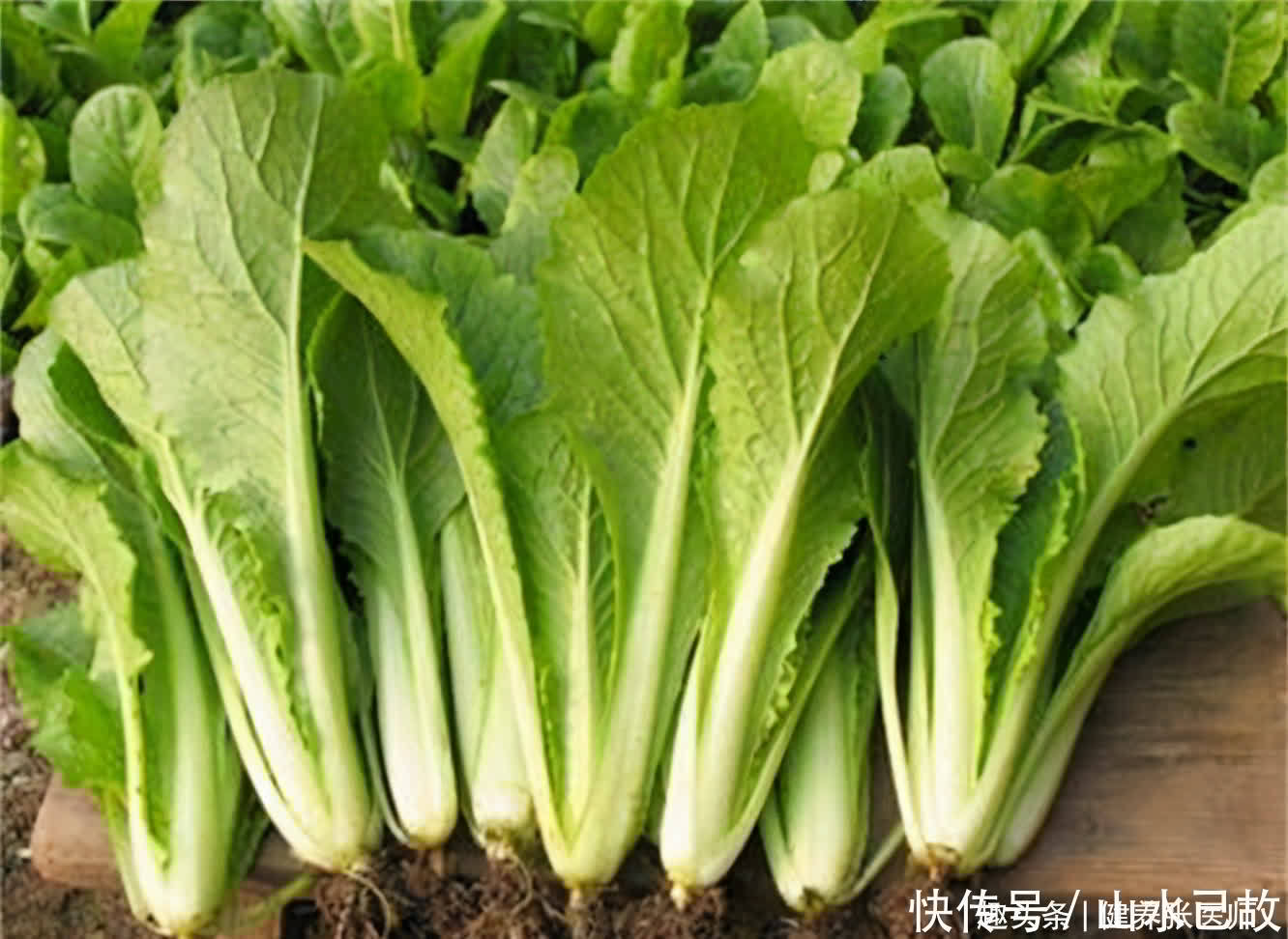 排毒|女性抗衰先排毒,多吃3种食物,滋润肌肤,排毒养颜,提高免疫力