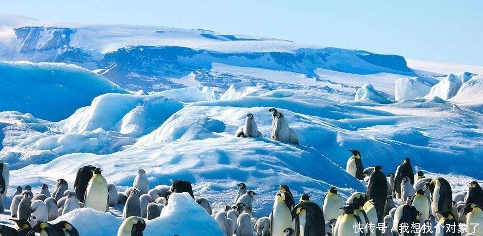 为什么我们登上南极大陆之前,要对衣物进行全面的消尘处理呢?