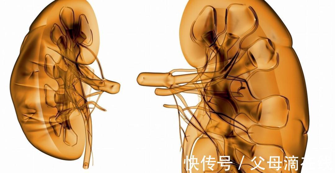 喝水|男人如何保养肾精？中医告诉你