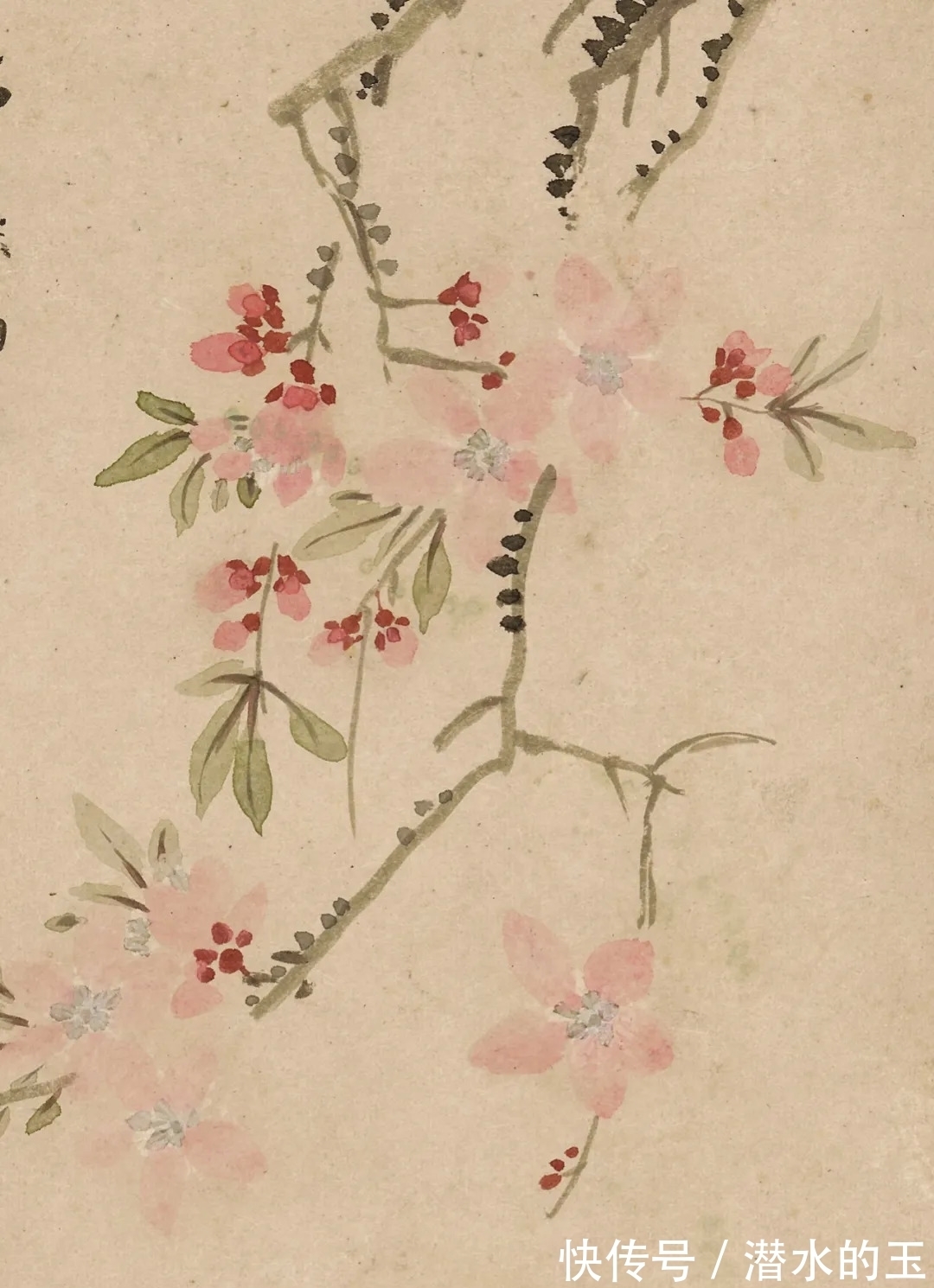 花卉图$汪士慎:一生心事为花忙丨私享艺术