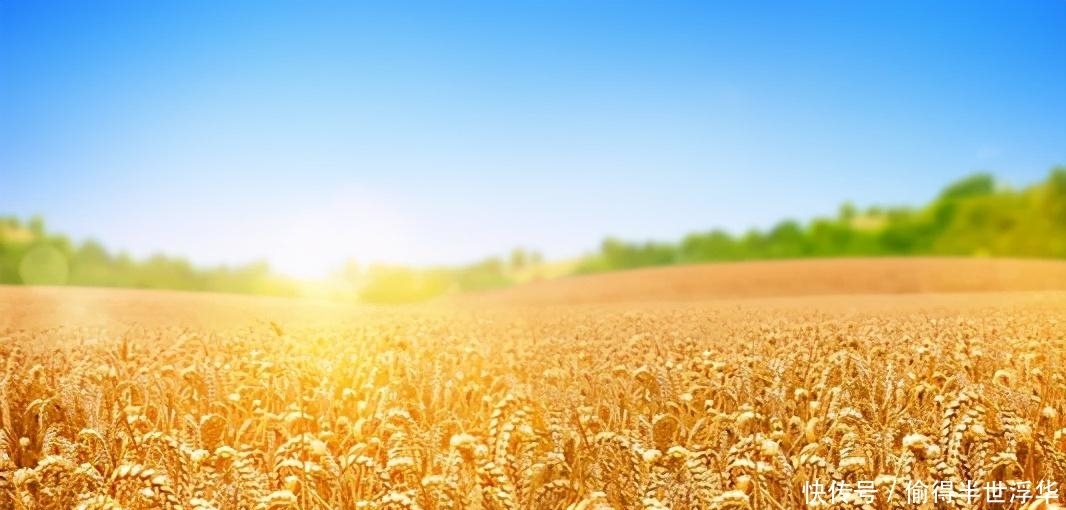 暴增|清朝初期,人口不过几千万,为何清朝灭亡时人口就暴增到四亿?