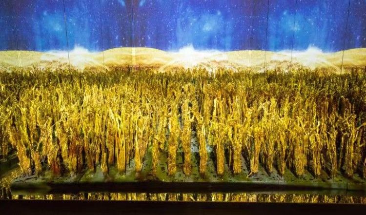 工艺美术|念民生之大任，吁耕耘之必须，工艺美术大师朱炳仁向中国艺术研究院捐赠“稻可道 非常稻” 装置艺术作品