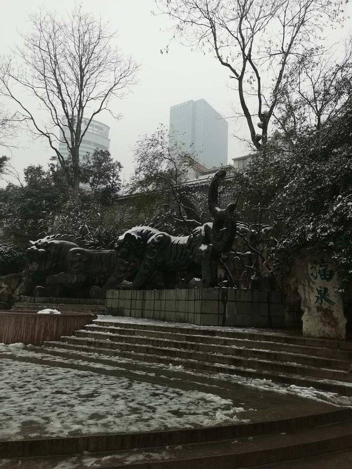 黑哥|虎风虎韵齐鲁行/飞雪落清泉，“虎”啸迎新春