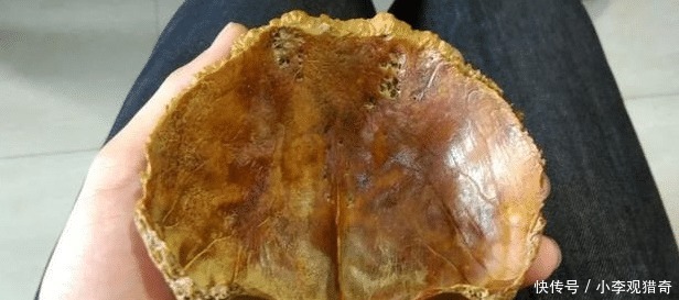 脑壳|脑壳发凉,这玩意儿也是文玩吗