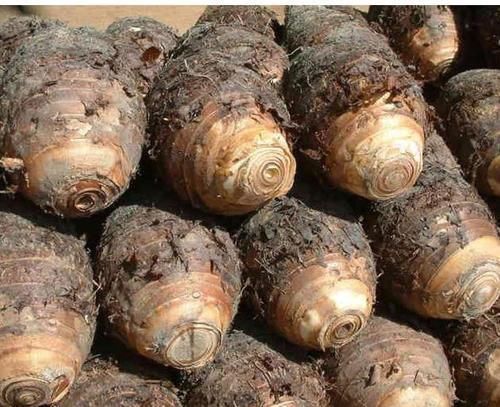 面色|夏天,这碱性食物要多吃,不蒸也不炒,口臭消失了,面色更加红润