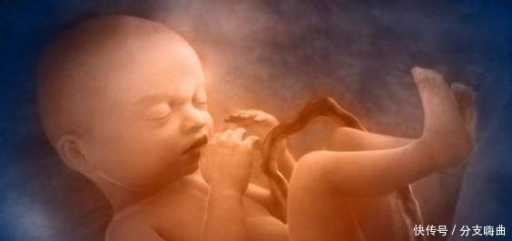 导致|孕晚期稍不注意很有可能导致羊水早破,这些事孕妈千万不能做!