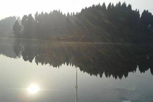 老张|钓鱼人的一天,从头天晚上失眠就已经开始了,你是不是也这样?