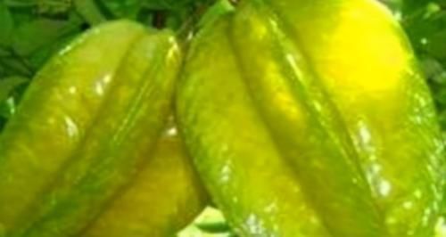 小青菜|想身体好，坚持吃的食物，增加饱腹感，促进新陈代谢，肌肤好