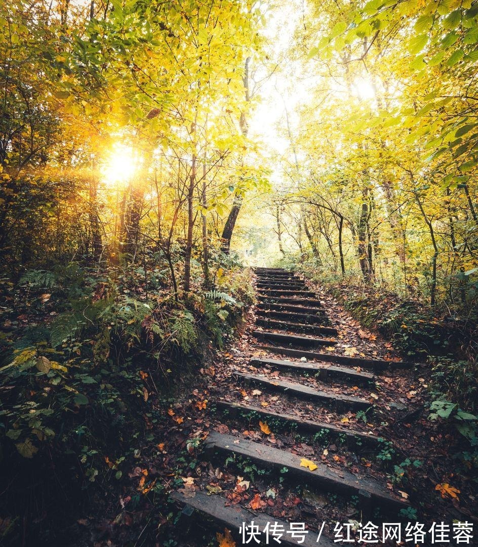 南山书院|重庆最美城市步道，这5条古道你一定要知道，感受山城韵味