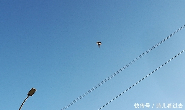 人生|活在当下,何必穿越,唯求人生真实