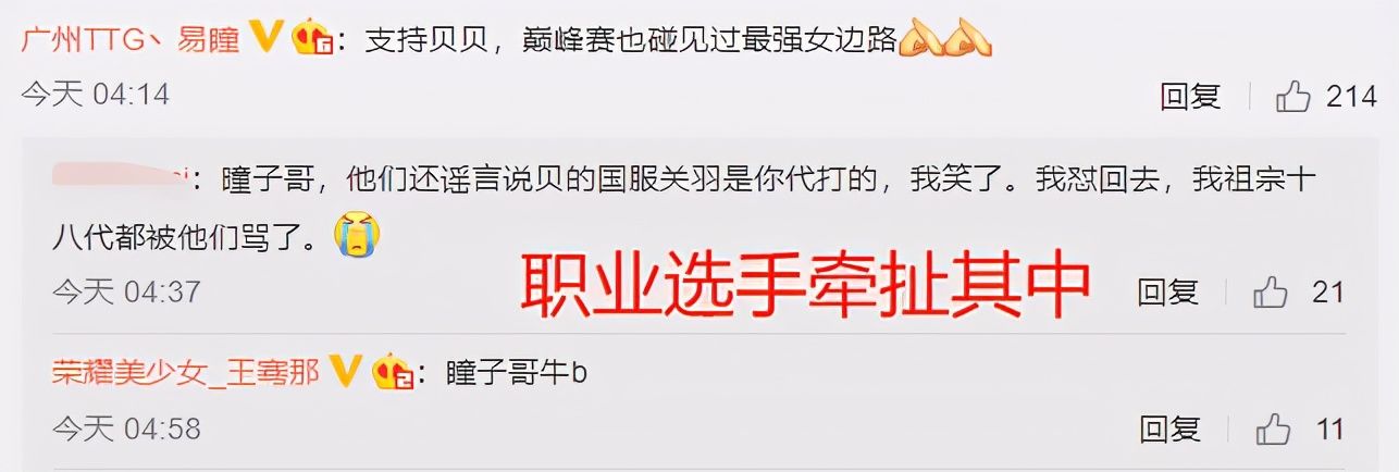  月入|主播被质疑代打引出更多内幕，代练月入30万，职业选手牵扯其中