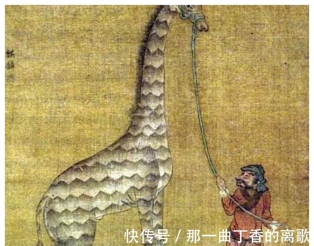 马林国@下西洋时郑和带回2只麒麟,朱棣信以为真,今画像公开却贻笑大方