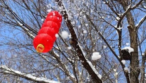 乌鲁木齐：红山雪霁