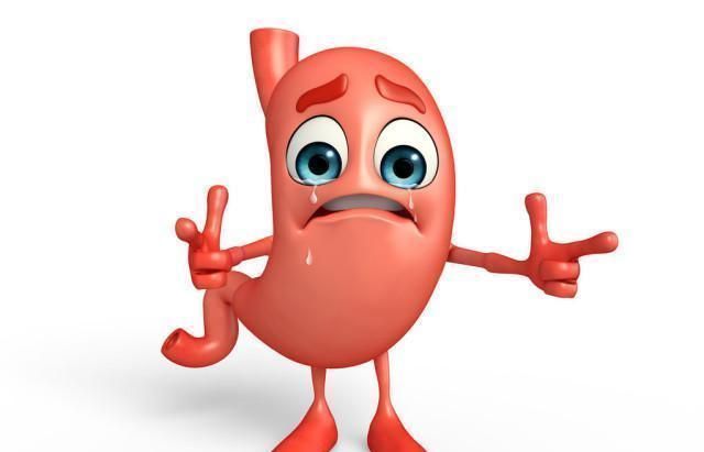 幽门螺旋杆菌有“死对头”吗平时多吃它,杀菌养胃,胃慢慢变好