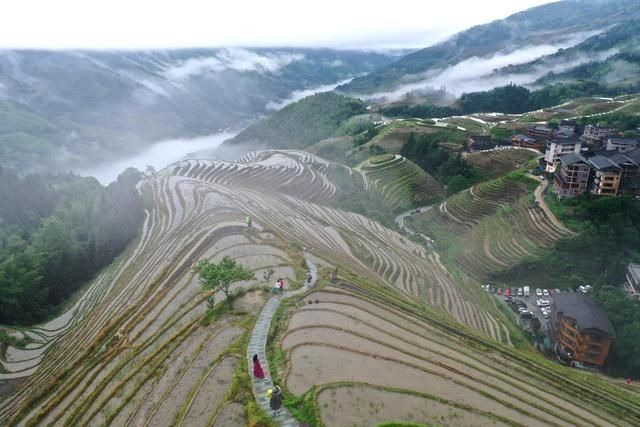 龙脊梯田|烟雨龙脊景色美