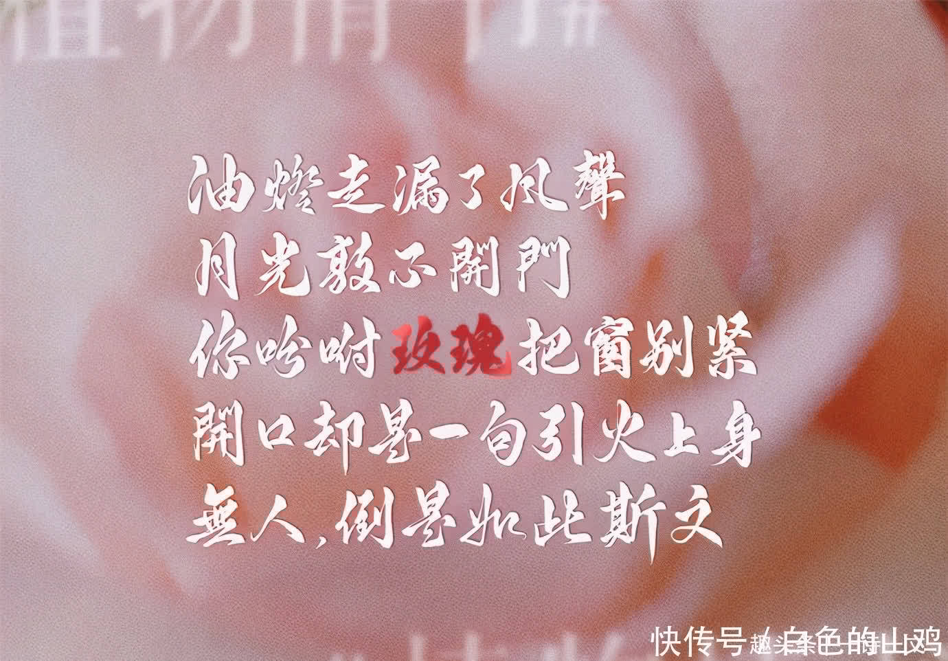 妖扬|你有哪些收藏了很久的神仙句子和哲理小诗？