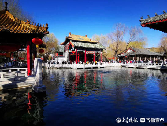 美图|情报站｜“犇”向春天！济南趵突泉的气质蓝上线，碧空如洗美翻了