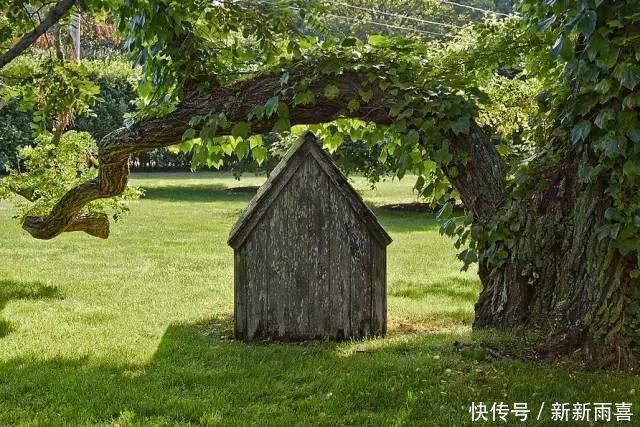 60款豪宅花园设计，自然安静的生活就该如此惬意