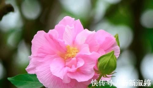 出息|出生在几点钟的孩子,智商最高,将来一定大有出息,前途光明