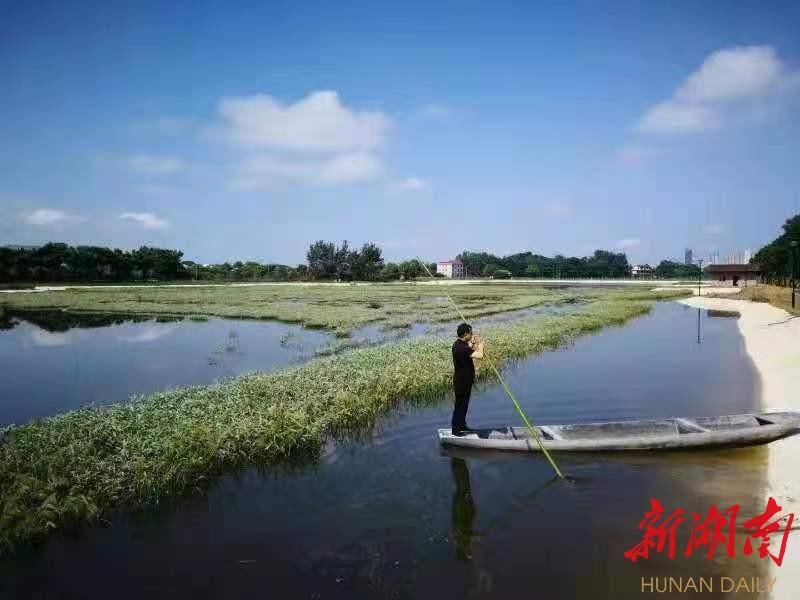 王海坪社区：借力度假村，助推乡村振兴