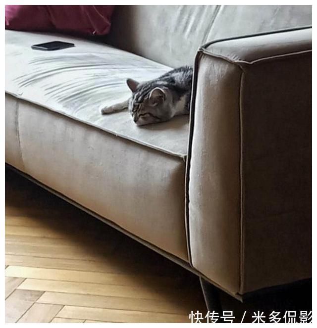 极致|53㎡精致小蜗居:一人一屋三餐四季,极致有温度的家