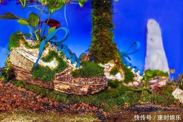 球鞋|球鞋当花瓶,鲜花填充羽绒服时尚界的环保也太香了