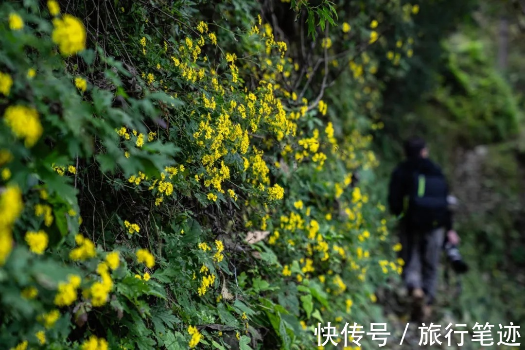 许家山|秘境徒步｜秦岭留坝深处这四条线路，惊艳了整个秋天