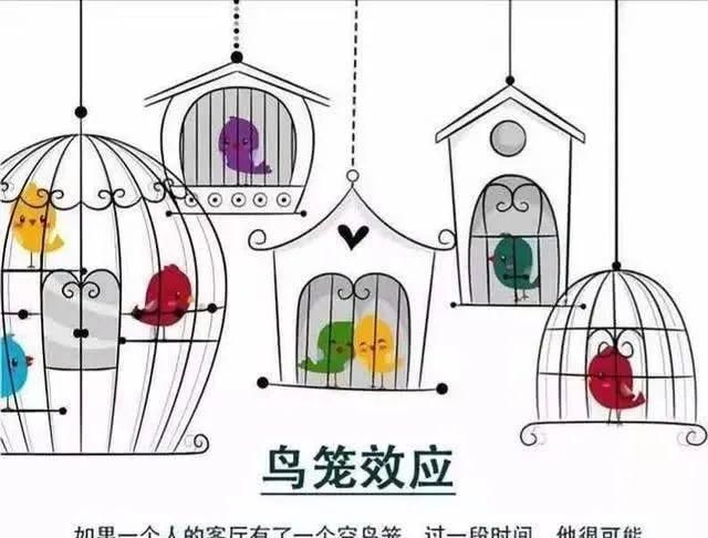 心理学|心理学定理大全之——“鸟笼效应”