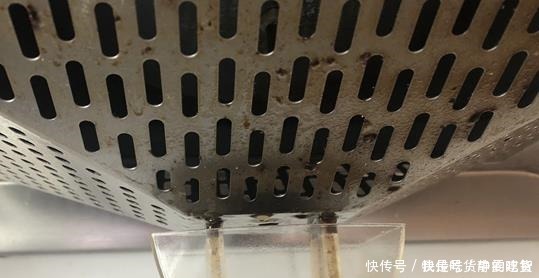 油烟机|什么残茶水、蚯蚓粪都不如它,往盆里埋10滴,叶子油亮开花旺!