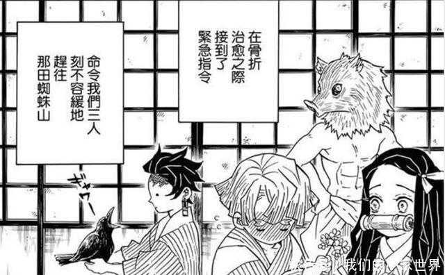 女人|鬼灭之刃顶尖美女祢豆子,为何选择嫁给被甩过多次的我妻善逸