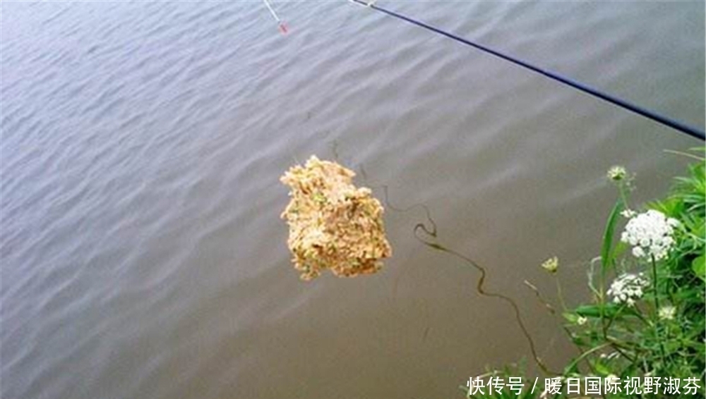 钓法|夏季钓大鱼,用“包饺子”钓法,小鱼多也不用怕