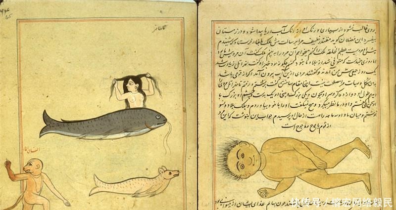 古波斯|古波斯《山海经》,其中描绘的生物或许来自外太空