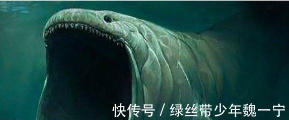 神邸|斗罗大陆最强5大魂兽 帝天倒数、深海魔鲸仅第四, 第一无人不服!