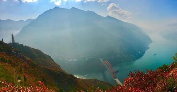 巫山|又是一年“赏叶”时，巫山红叶满峡江