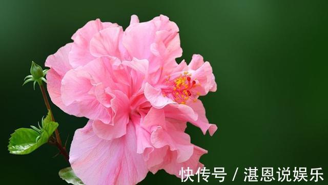 吉月|在农历这三个月份出生的孩子，一生与富贵相伴，长大后有钱有势