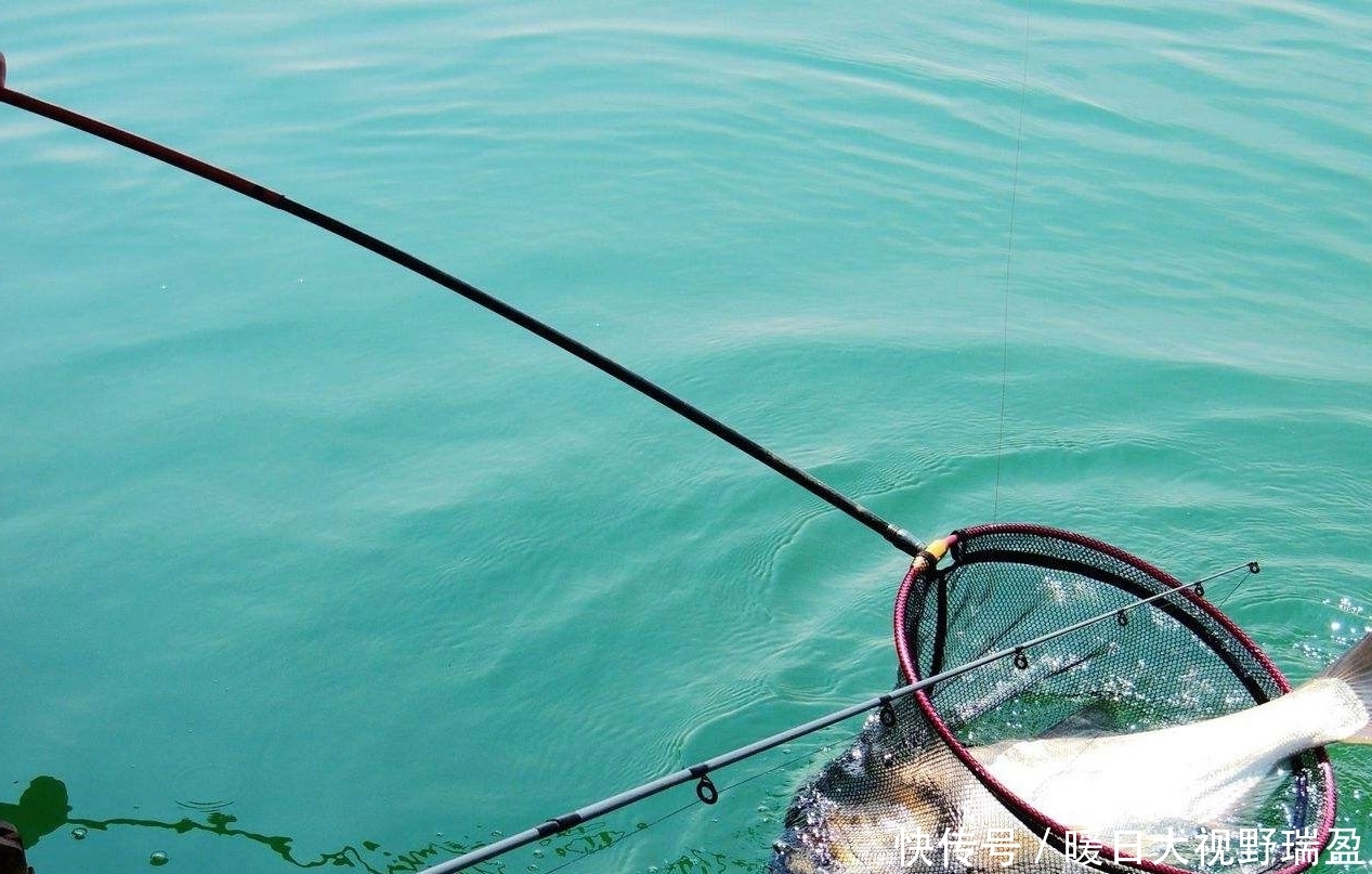 钓友|天热鱼难钓?作出四大调整就能轻松上鱼完胜周边钓友