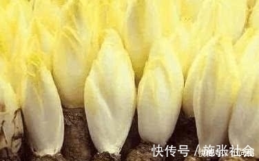 番石榴|高尿酸“最怕”的几种碱性食物, 每天坚持吃, 尿酸平稳不升高