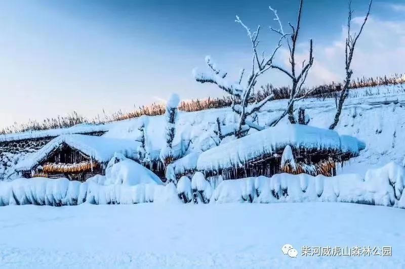 雪村|威虎山雪村12月12日正式开园啦！