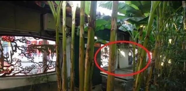 2年前趵突泉风波被游客质疑安装了水泵水管,真相到底是什么