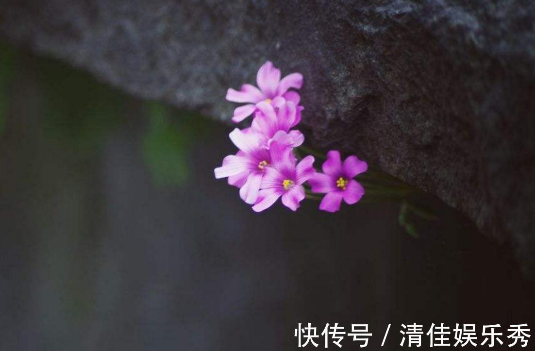 在乎你!做人要懂得:即使关系再好,这四件事也不要告诉别人,原因很现实