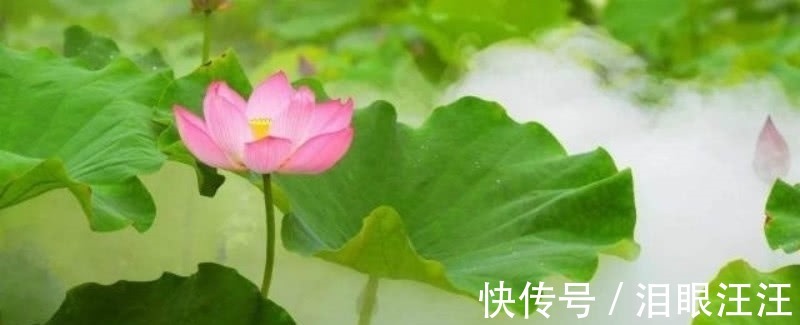 诗人#难怪卢照邻不服王勃，读他这首诗就知道，他的才华完全不输于王勃