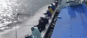 |搞笑GIF趣图:跟姐说说实话你是不是想泡姐?