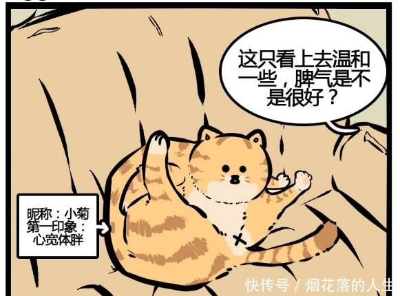 不好|搞笑漫画：原来这个世上真的有遭猫嫌体质，萌猫的心不好懂啊！