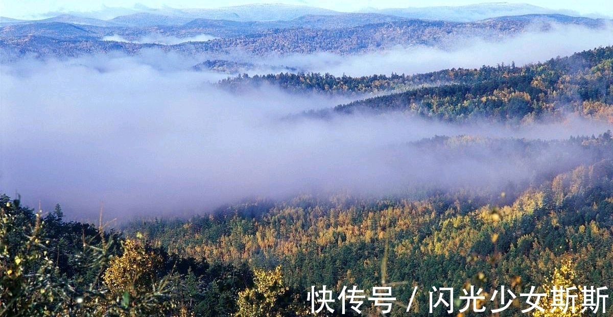 小诗&杨万里两首蕴含人生哲理的小诗,清新自然,极富趣味,值得一读