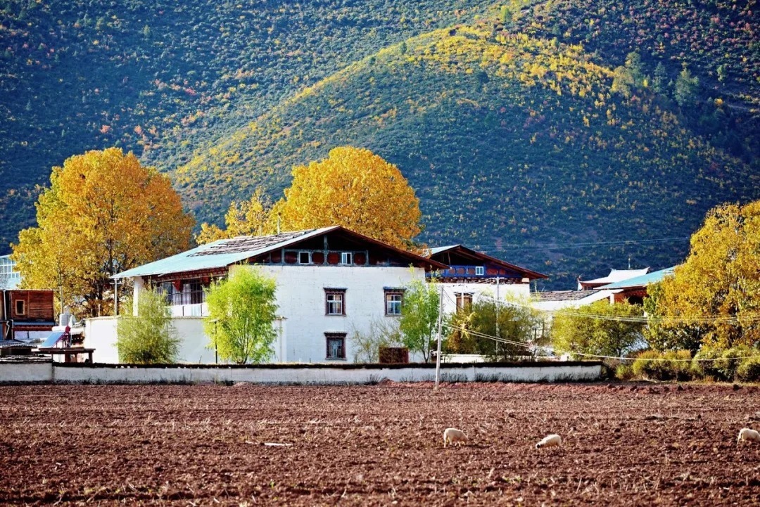 南雄|10个愈秋愈美的小众旅行地，绚丽醉人，错过只能再等一年