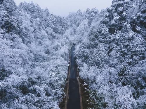 20元钱买桶雪？不如去成都周边的“冰雪世界”疯耍！