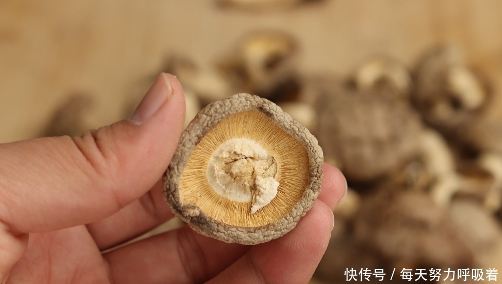  区别|一样是香菇，干香菇和鲜香菇有啥区别？知道以后别再乱买了