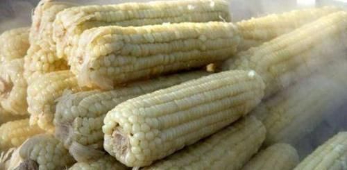 刮油清肠|女性养生推荐常吃几种食物,补充营养,改善体质,爱吃就赚了