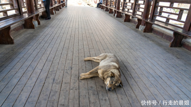 江西|江西有座千年古镇，古老原生态人少清静